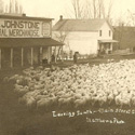 Sheep on Main Street